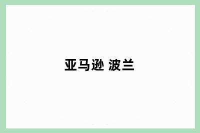亚马逊 波兰